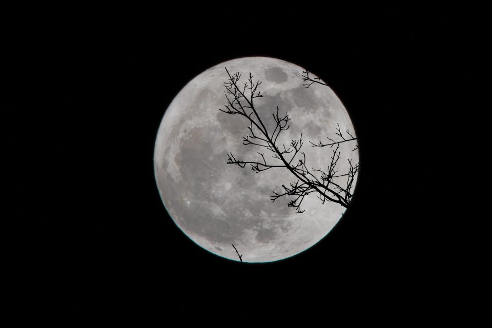 a full moon at night