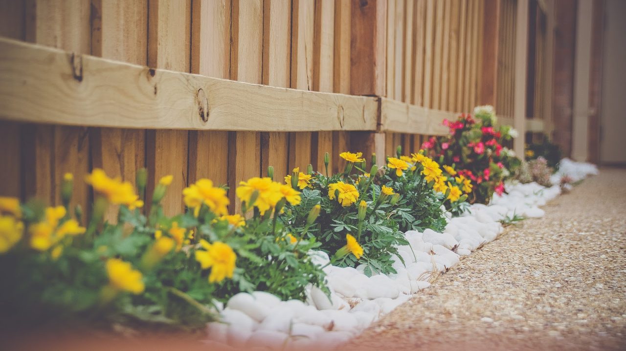 a backyard fence with a flower bed