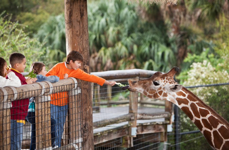 San Diego Zoo