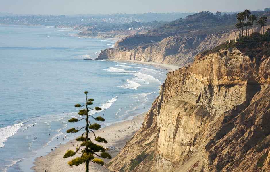 Torrey Pines - San Diego