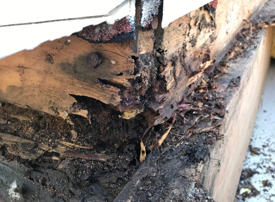 severe termite damage on the corner of a wooden structure