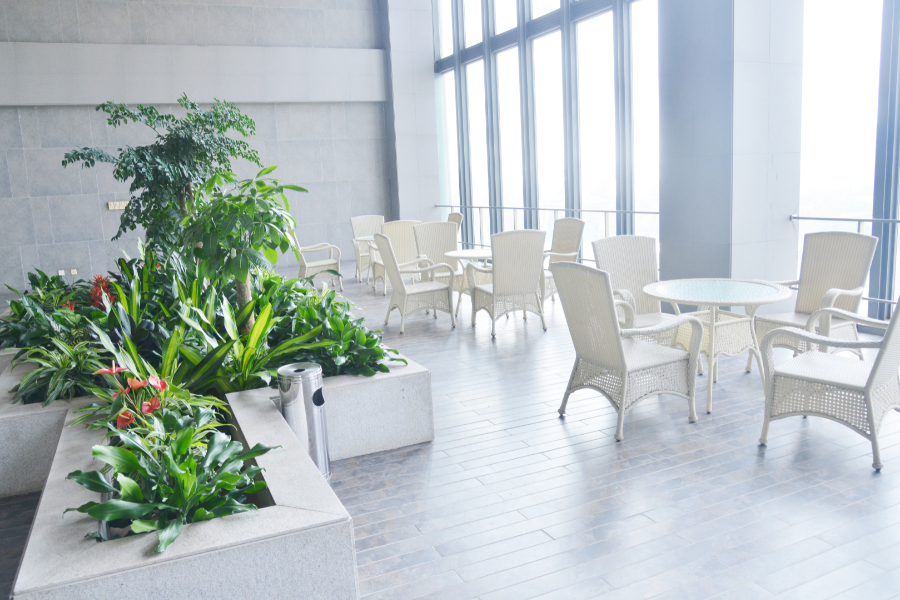 a communal area in rental building with an indoor garden