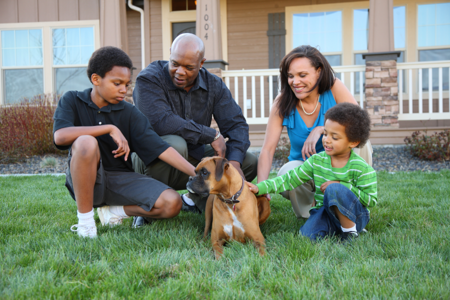 a family petting a dog on the front lawn