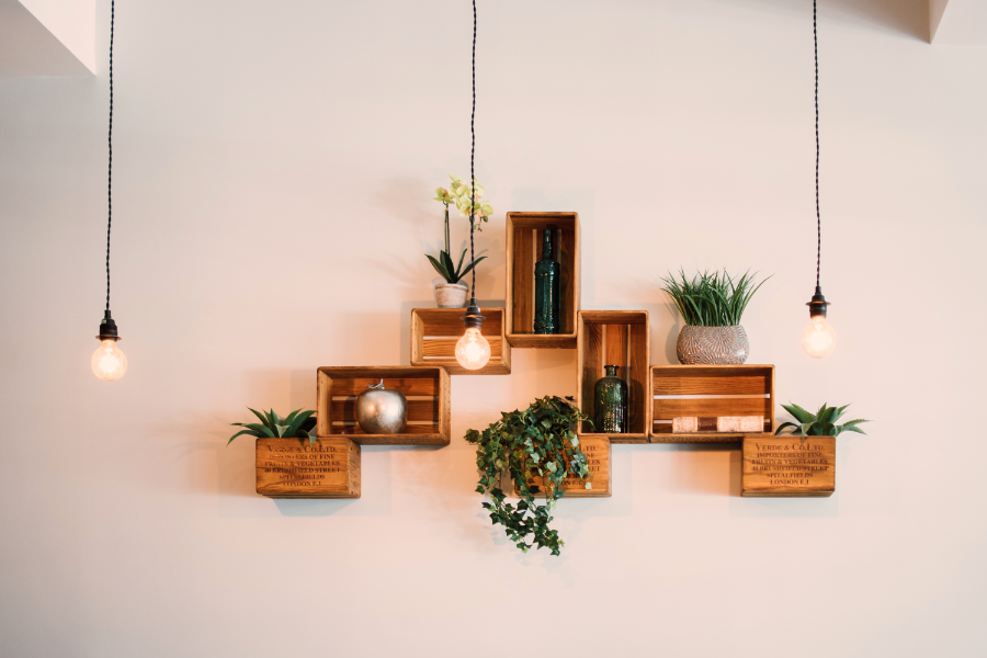 hanging shelves with lights and plants