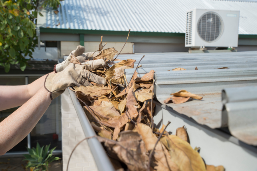 a person clearing leaves out of a roof gutter